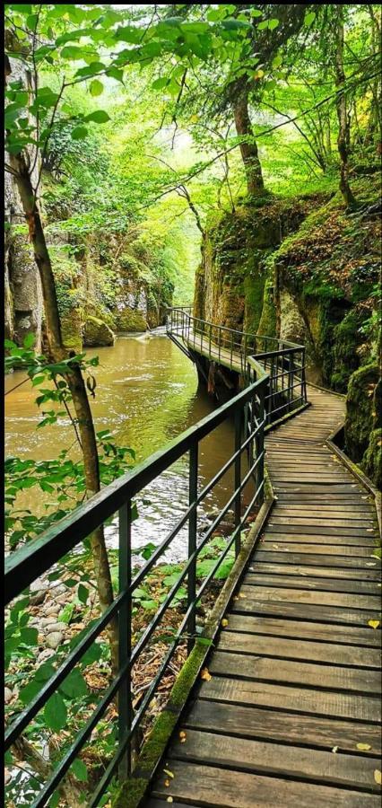Къща Томови,Стаи За Гости Devin Exterior foto